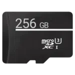256GB Micro SD Card 256GB