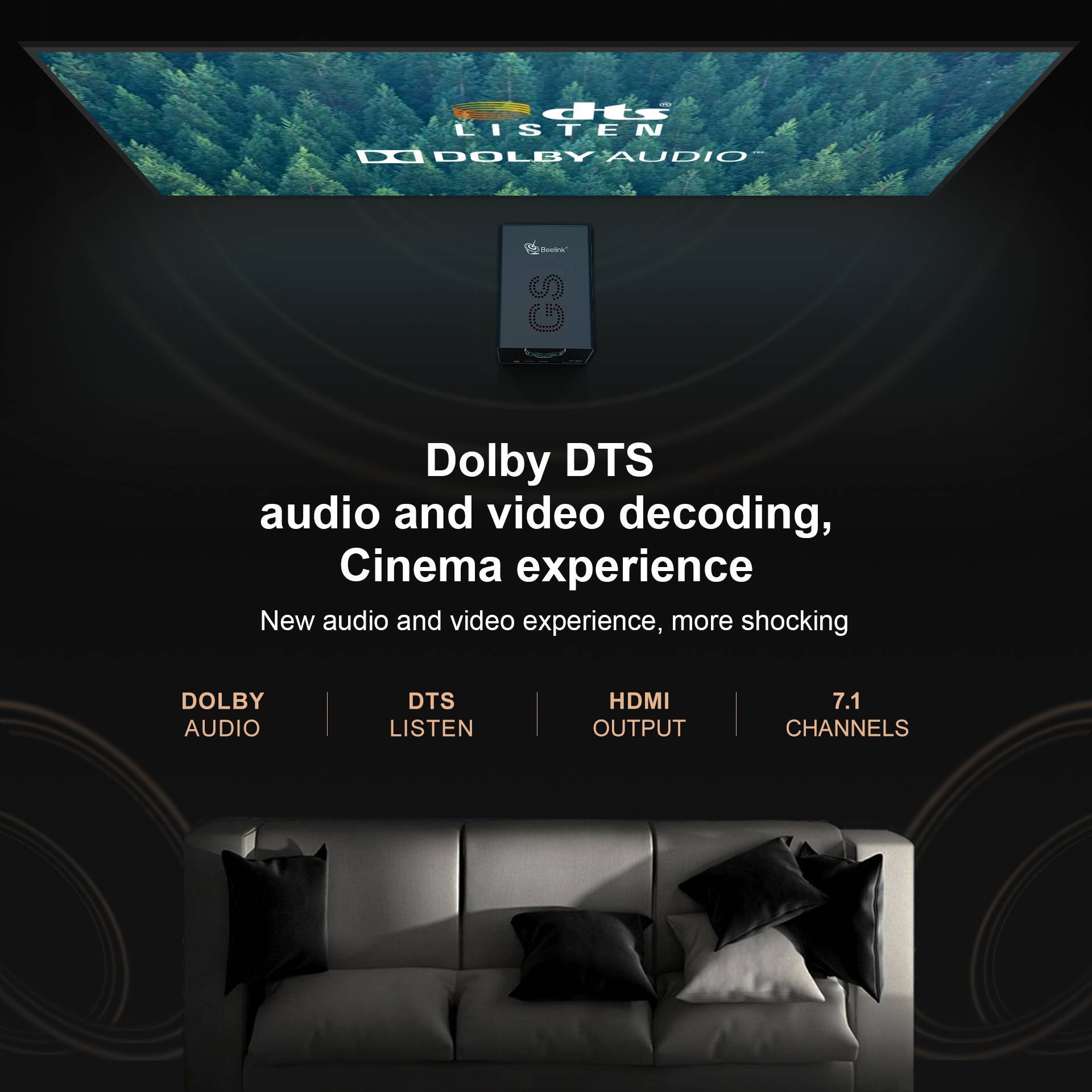 Beelink GS-King X 4K Android TV Box 4 Beelink GS-King X - Showing Dolby DTS Functionality