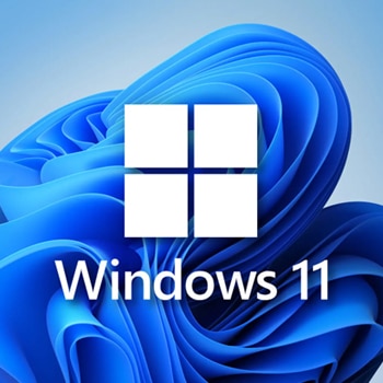Windows 11