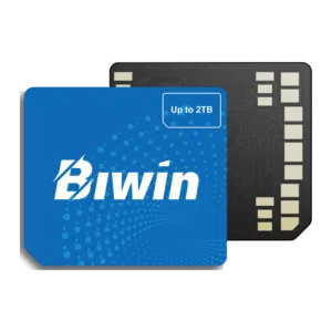 Blue Biwin CL100 Mini SSD card shown front and back side by side on white, with label and gold contacts visible