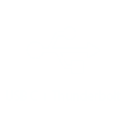 Icon showing Proteus 11 Thunderbolt Logo